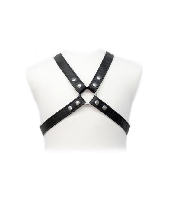 LEATHER BODY - LASIC HARNESS IN GEWAND